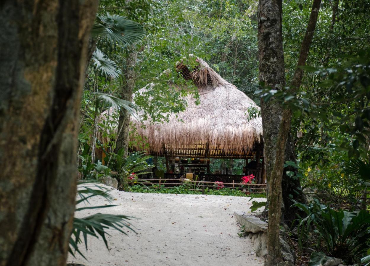 Glamping Mama Loo Mm Puerto Morelos Exterior foto