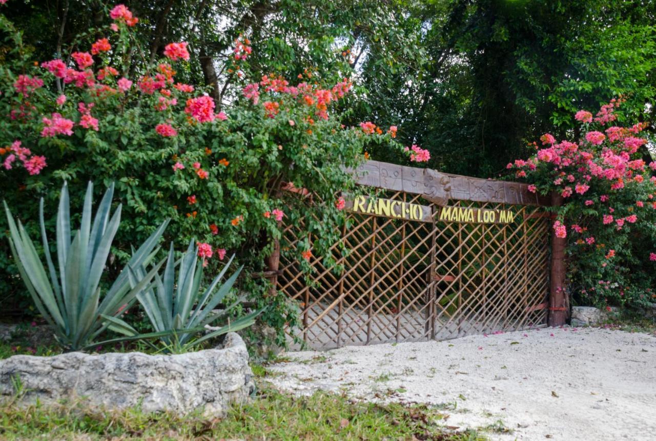 Glamping Mama Loo Mm Puerto Morelos Exterior foto