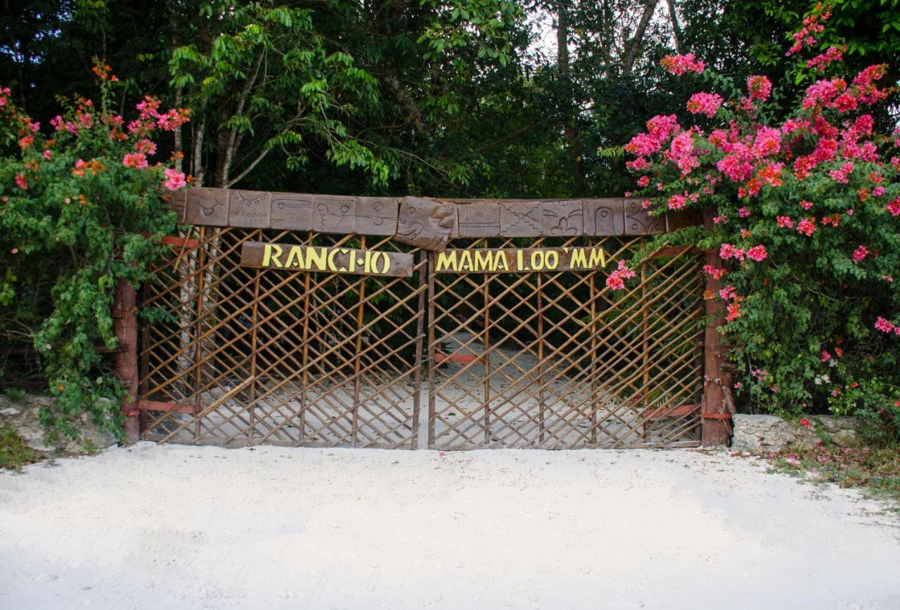 Glamping Mama Loo Mm Puerto Morelos Exterior foto